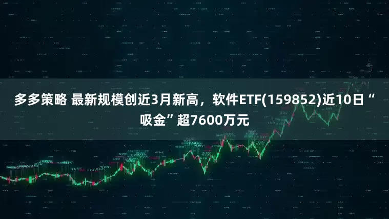 多多策略 最新规模创近3月新高，软件ETF(159852)近10日“吸金”超7600万元