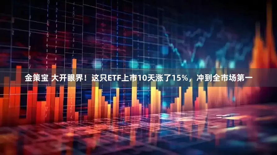 金策宝 大开眼界！这只ETF上市10天涨了15%，冲到全市场第一